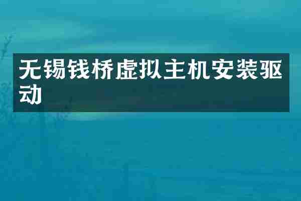 无锡钱桥虚拟主机安装驱动