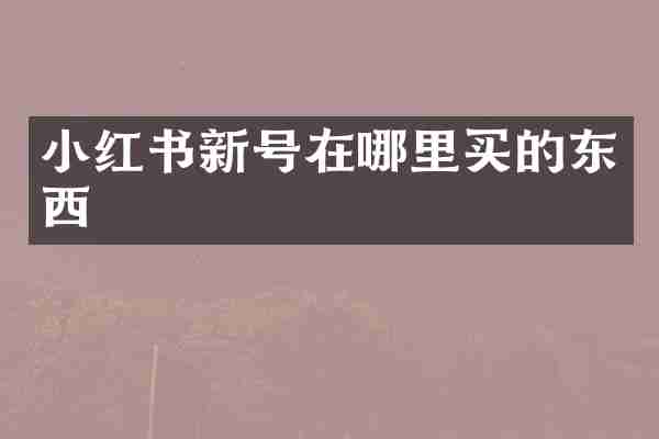 小红书新号在哪里买的东西