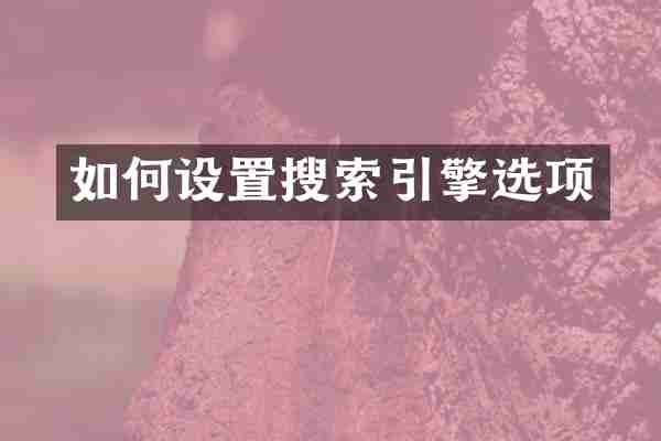 如何设置搜索引擎选项