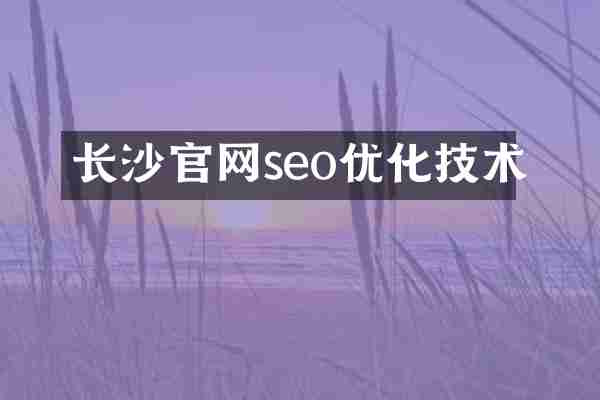 长沙官网seo优化技术