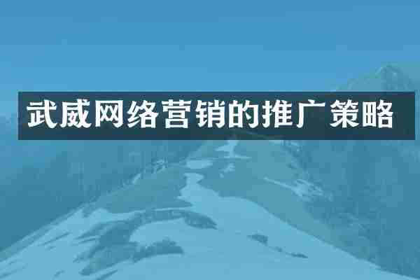 武威网络营销的推广策略