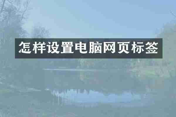 怎样设置电脑网页标签