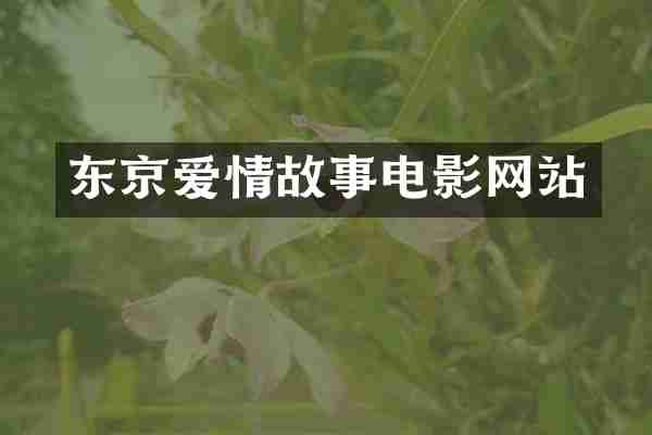 东京爱情故事电影网站