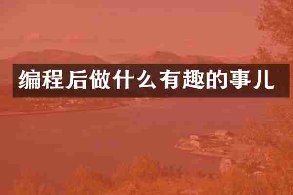 编程后做什么有趣的事儿