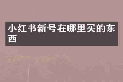 小红书新号在哪里买的东西