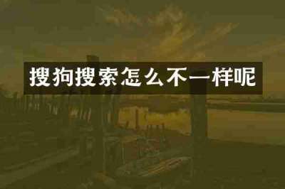 搜狗搜索怎么不一样呢