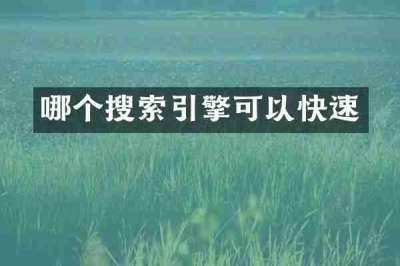 哪个搜索引擎可以快速