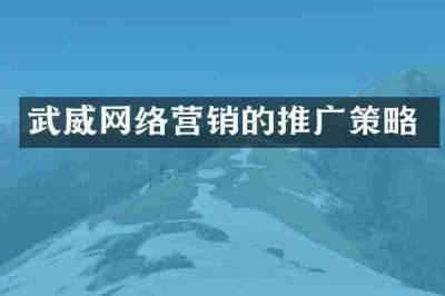 武威网络营销的推广策略