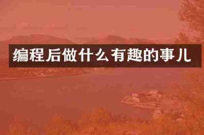 编程后做什么有趣的事儿