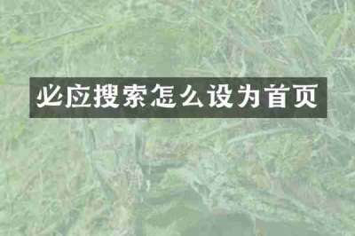 必应搜索怎么设为首页