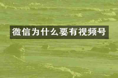 微信为什么要有视频号