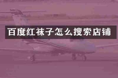 百度红袜子怎么搜索店铺