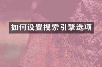 如何设置搜索引擎选项