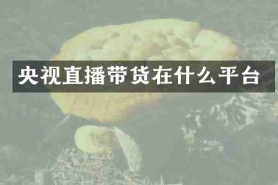 央视直播带货在什么平台