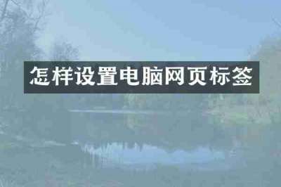 怎样设置电脑网页标签