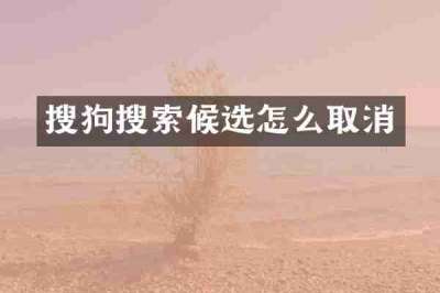 搜狗搜索候选怎么取消