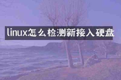 linux怎么检测新接入硬盘