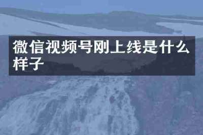 微信视频号刚上线是什么样子