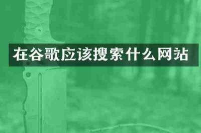 在谷歌应该搜索什么网站