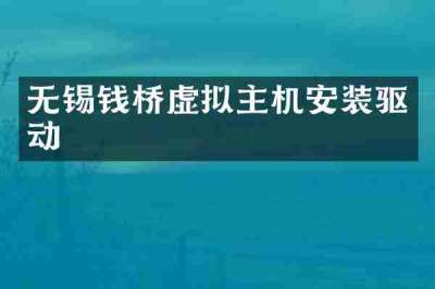 无锡钱桥虚拟主机安装驱动