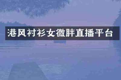 港风衬衫女微胖直播平台