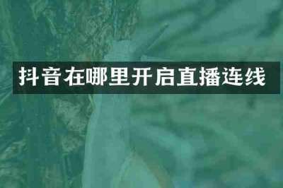 抖音在哪里开启直播连线
