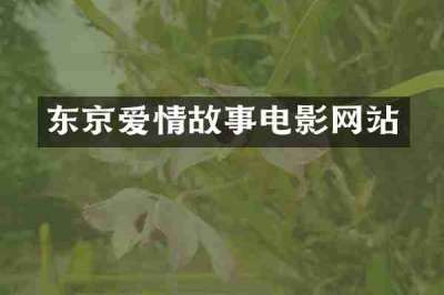 东京爱情故事电影网站