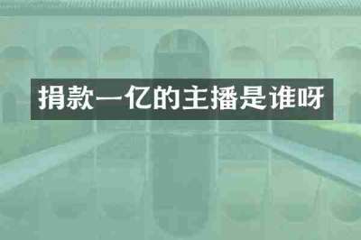 捐款一亿的主播是谁呀