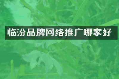 临汾品牌网络推广哪家好