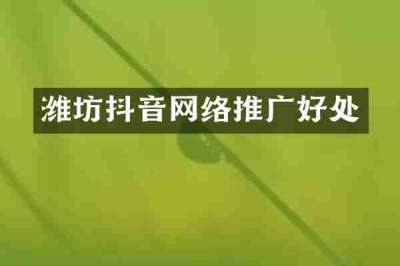 潍坊抖音网络推广好处