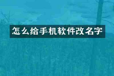 怎么给手机软件改名字