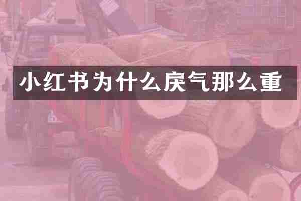 小红书为什么戾气那么重