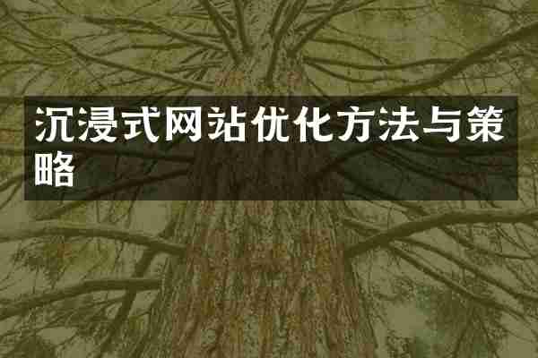 沉浸式网站优化方法与策略