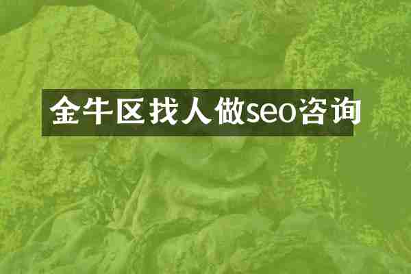 金牛区找人做seo咨询