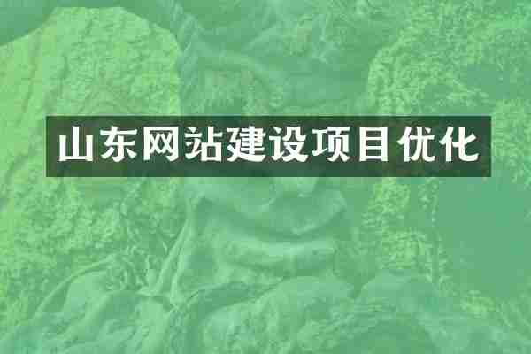 山东网站建设项目优化