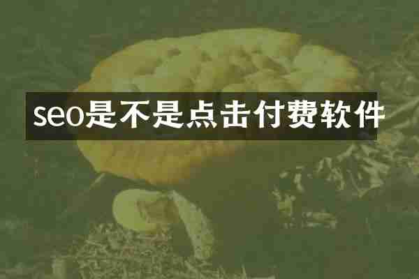 seo是不是点击付费软件