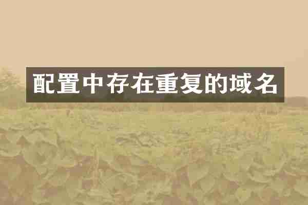配置中存在重复的域名