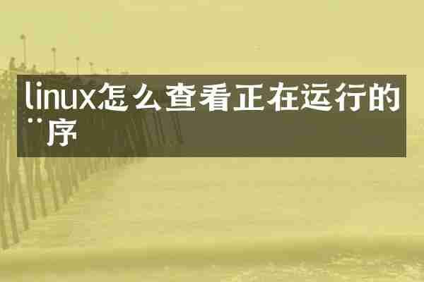 linux怎么查看正在运行的程序
