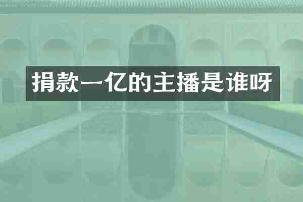 捐款一亿的主播是谁呀