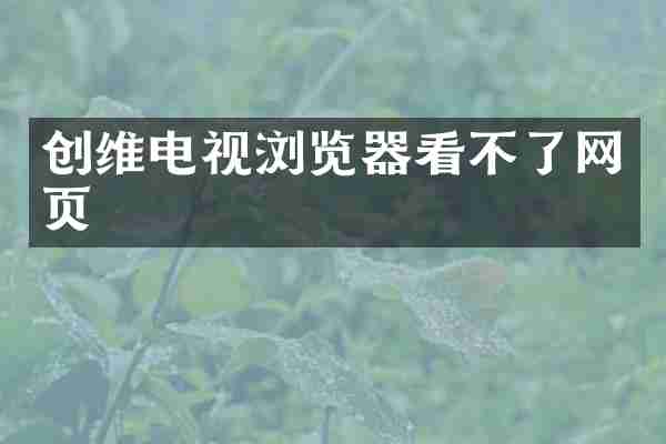 创维电视浏览器看不了网页