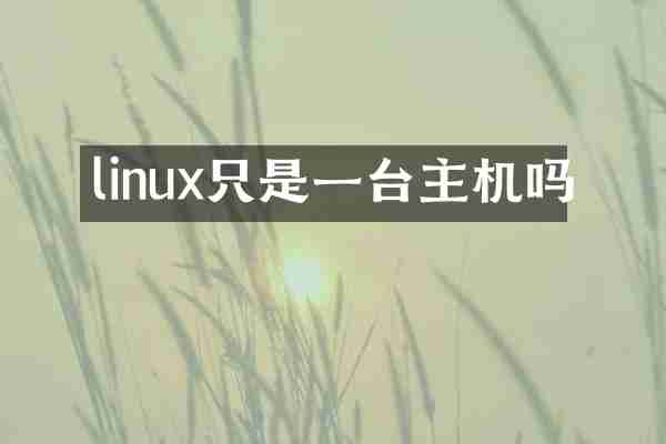 linux只是一台主机吗