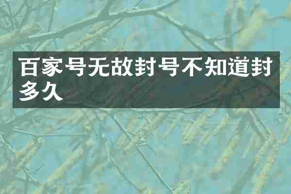 百家号无故封号不知道封多久