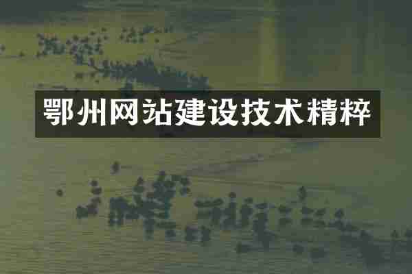 鄂州网站建设技术精粹