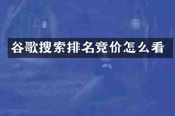 谷歌搜索排名竞价怎么看