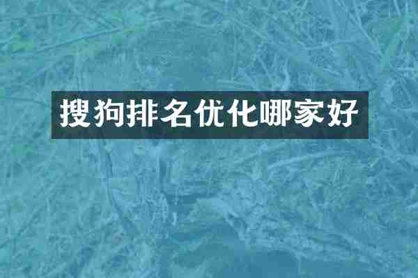 搜狗排名优化哪家好
