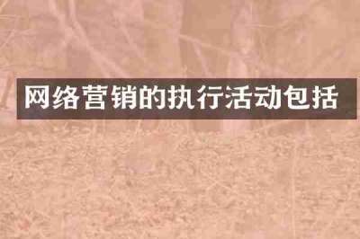 网络营销的执行活动包括