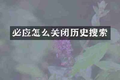 必应怎么关闭历史搜索