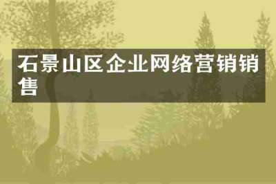 石景山区企业网络营销销售