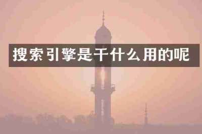 搜索引擎是干什么用的呢