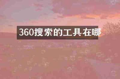 360搜索的工具在哪